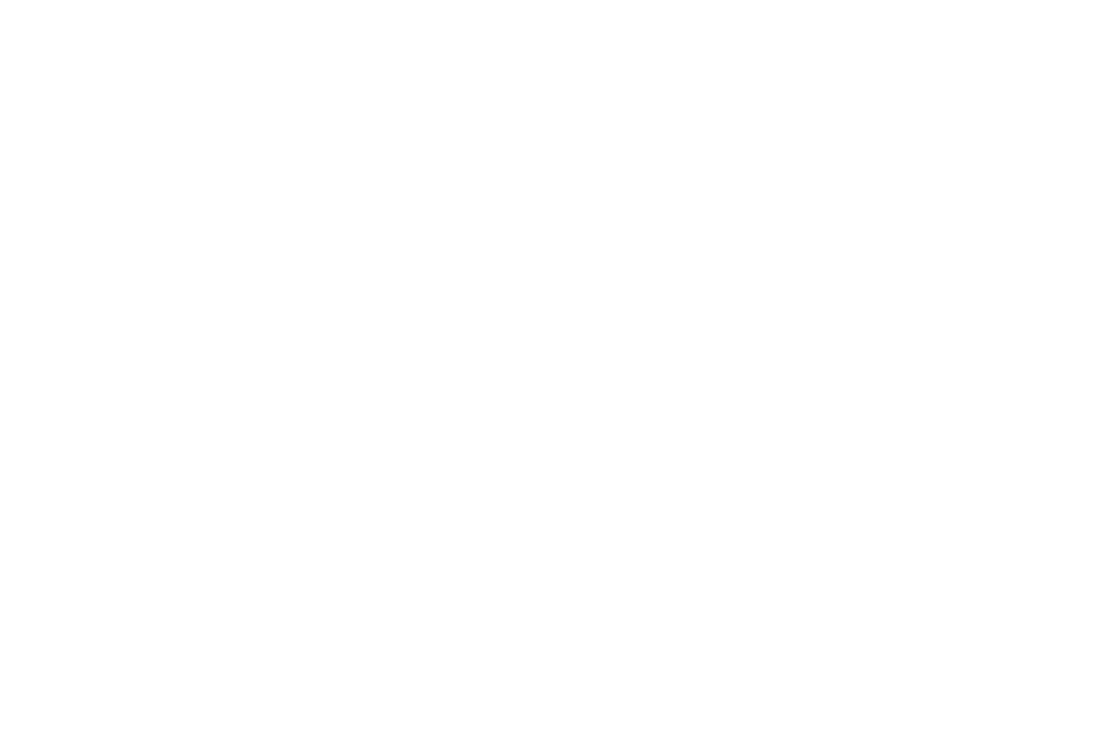 Partner 11