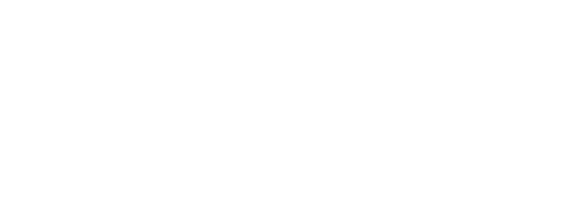 Partner 6