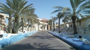Al Abraq real estate