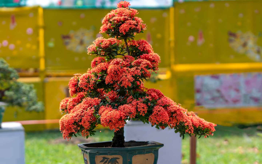 Best plants to grow in UAE summer (heat-tolerant winners)