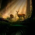 Tilal Binghatti Dubailand Villas: 2026 Price & ROI Guide