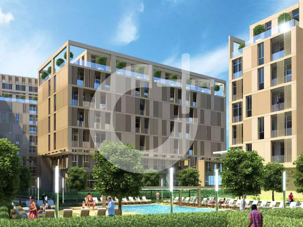 Q - Oplus International Realty