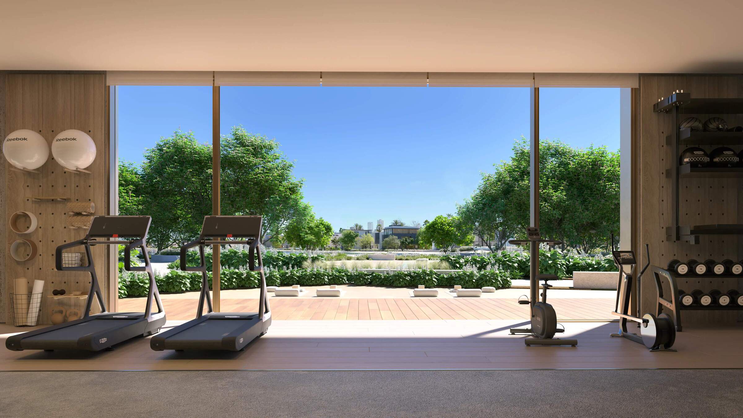 Palm-Central-GYM-01