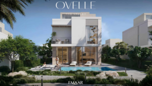 Ovelle at The Valley
