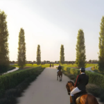 Equiterra at Grand Polo Club & Resort